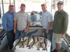 (04/10/2014) - Nice Striped Bass